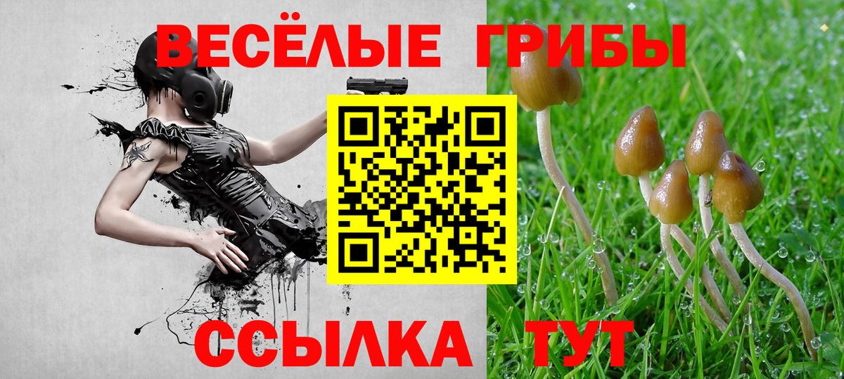 Галлюциногенные грибы Cubensis Карпинск